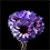 Bouquette of Cinerarias